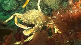 2011-06-15 16-58-55 UK_12